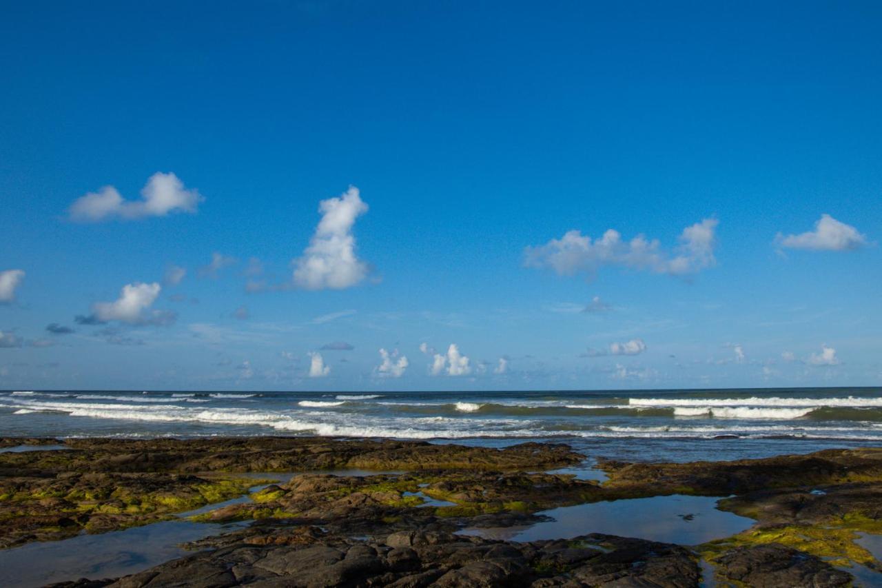 فندق Ilhéusفي  Chales Costa Do Sol المظهر الخارجي الصورة